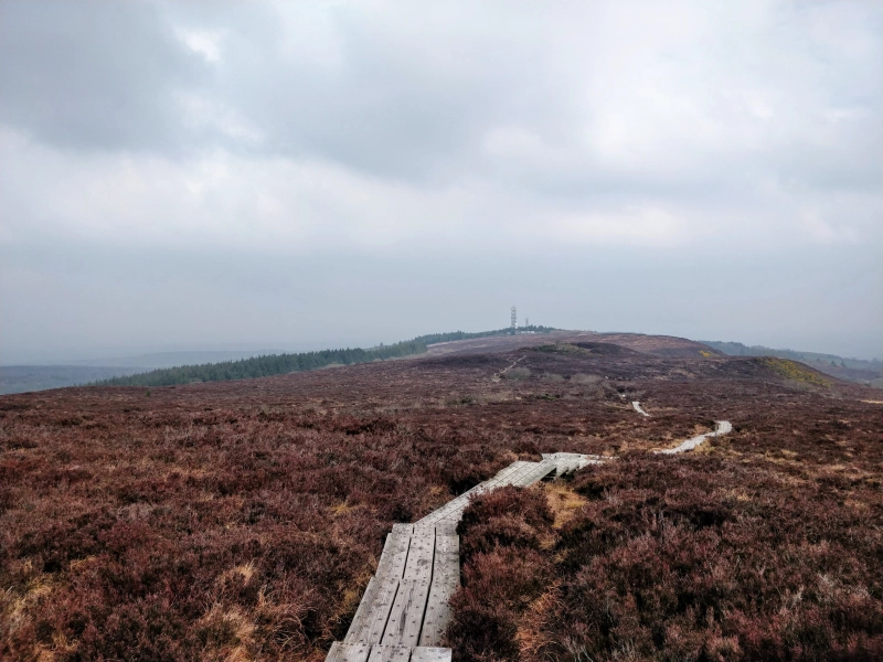Slieve Bloom Mountains ~ 2019